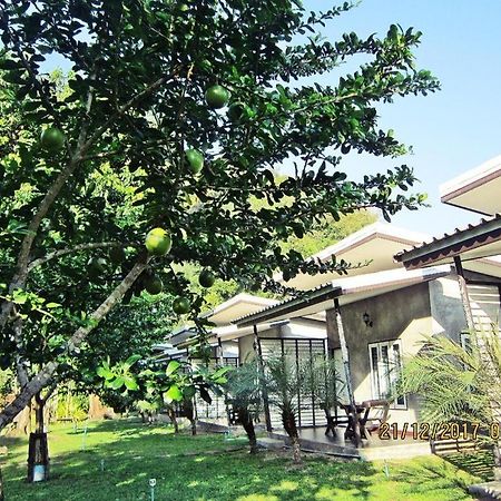 V Valley Resort Сатун Екстер'єр фото