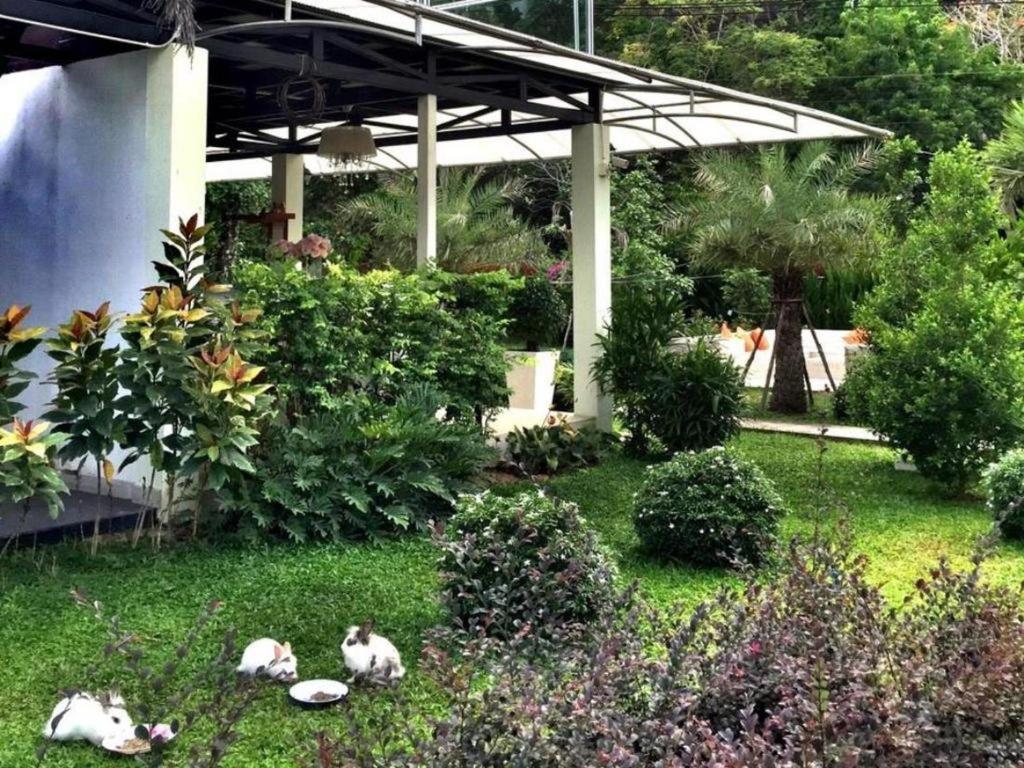 V Valley Resort Сатун Екстер'єр фото